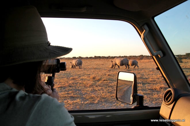 Auf Safari in Botswana