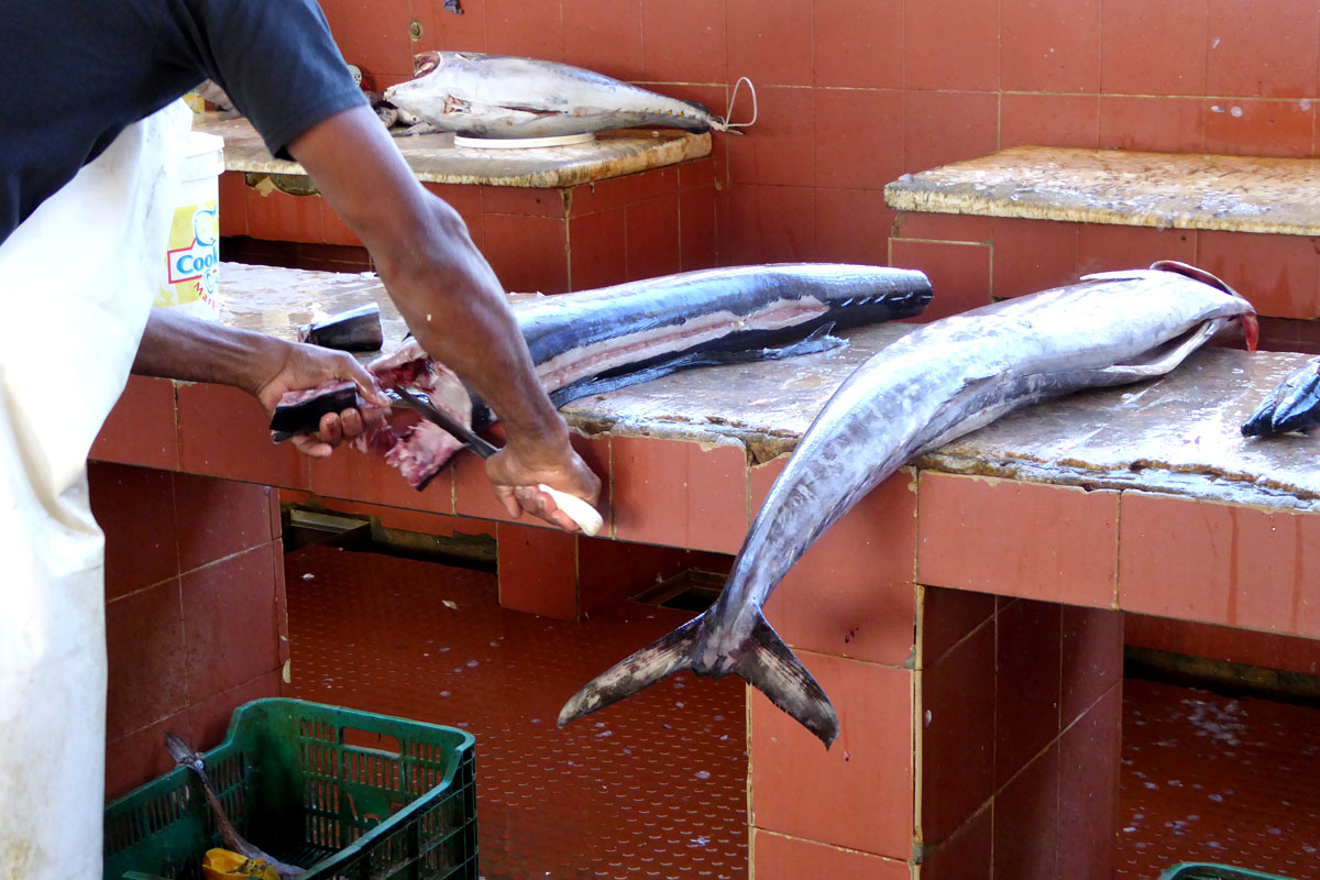Fisch am Fischmarkt in Mindelo