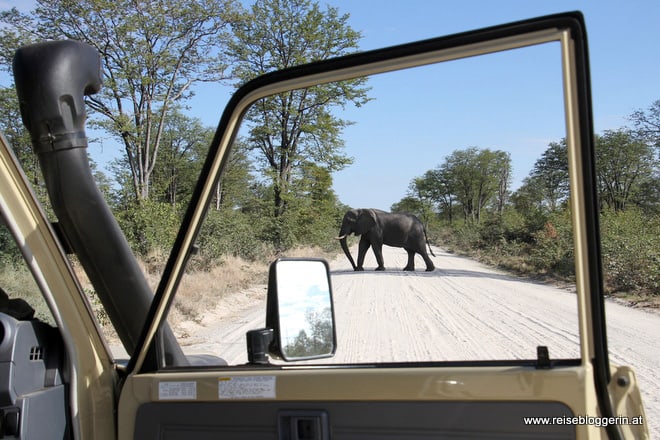 Auf Safari in Botswana